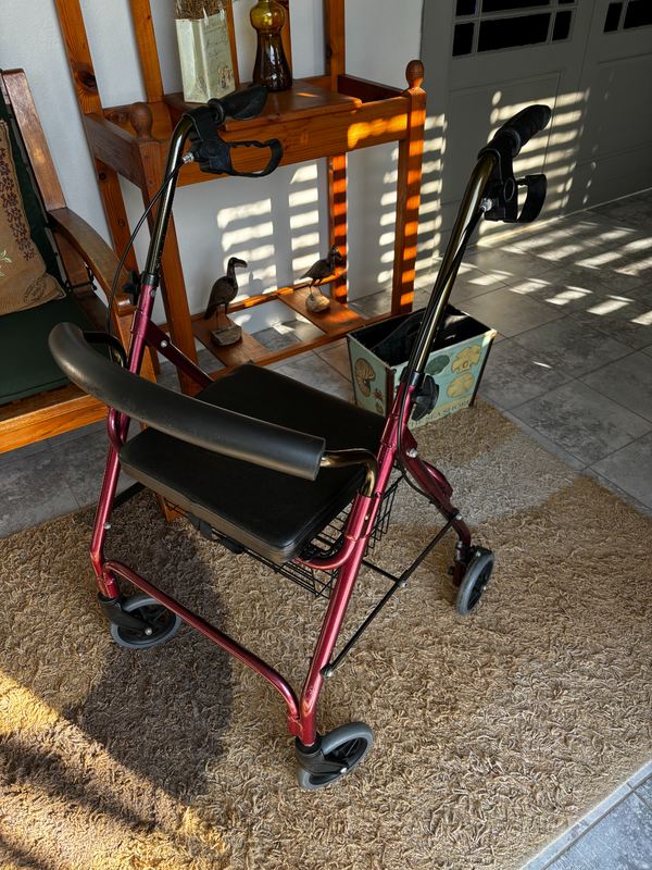 Mobility walking support