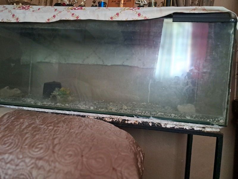 Fish tank