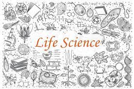 Life Sciences, Natural Sciences, and  Mathematics Tutor