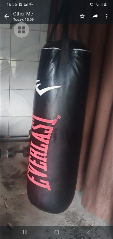 Punching Bag for sale