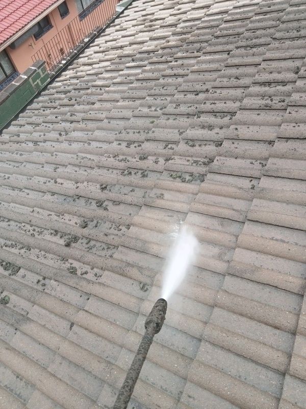 Roof cleaning and painting