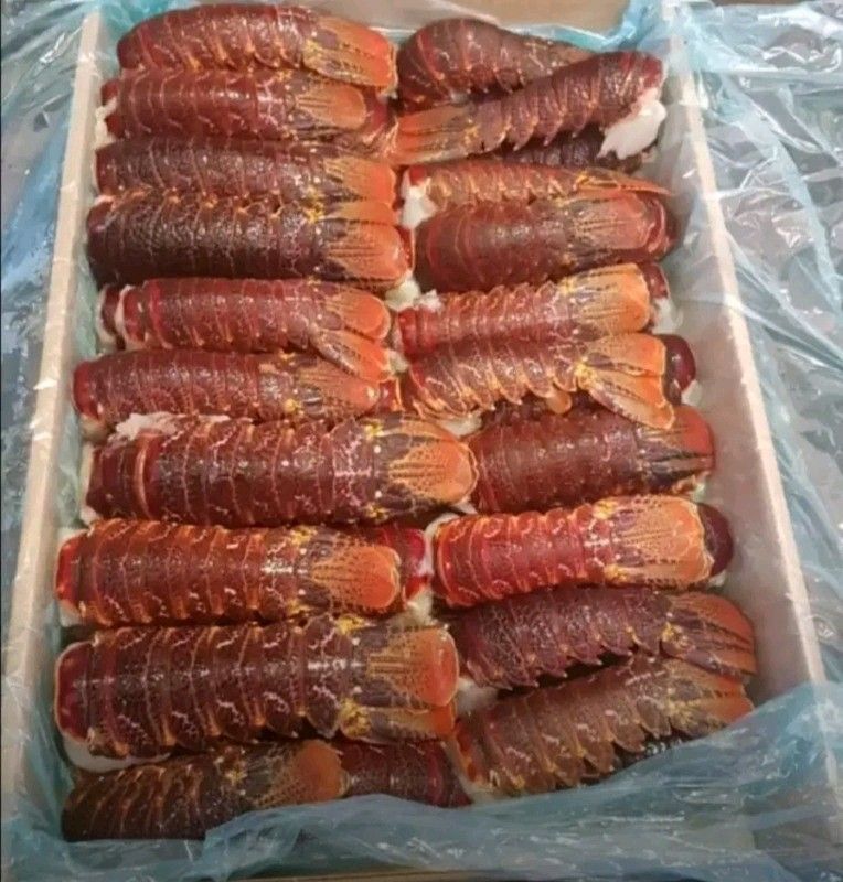 Crayfish tails for sale box of 50 tails