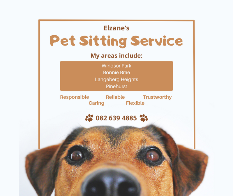  Reliable and Trustworthy Pet Sitting Service 