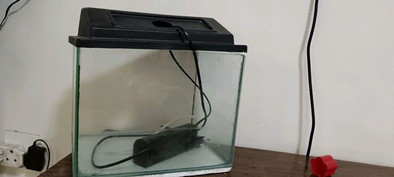 Fish tank available