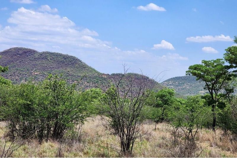 2,500m² Vacant Land For Sale in Zwartkloof Private Game Reserve