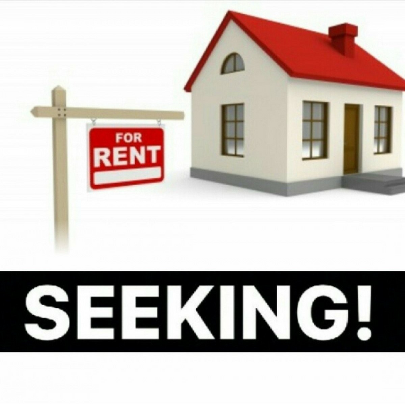Single Professional male Seeking a 1 or 2 bed property for rental.