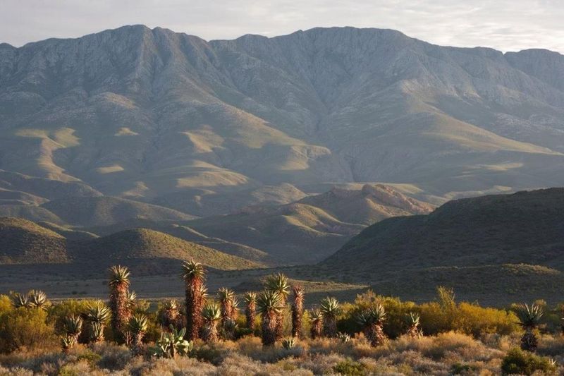 Farm and Nature Reserve in the mountains