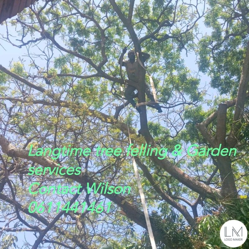 Wilson tree felling&amp; Garden services