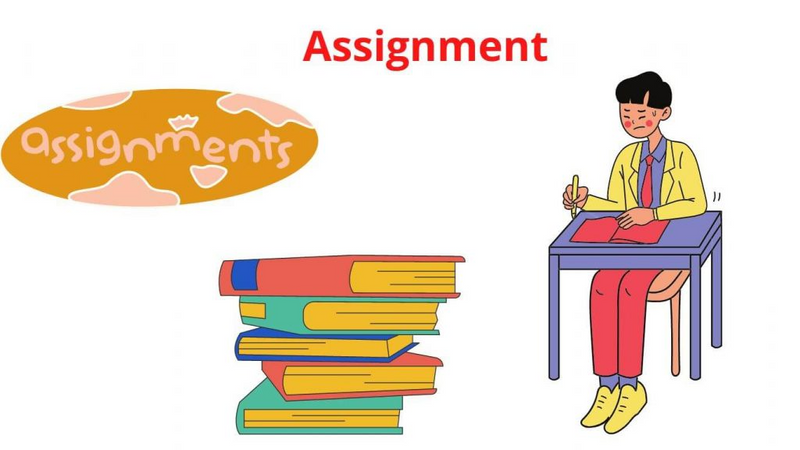 University and College assignments assistance