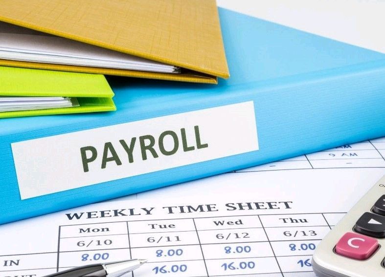 Accounting and payroll services