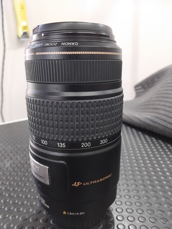 The Canon EF 75-300mm f/4-5.6 III