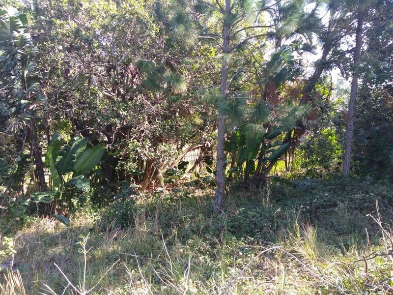 Vacant Land for Sale