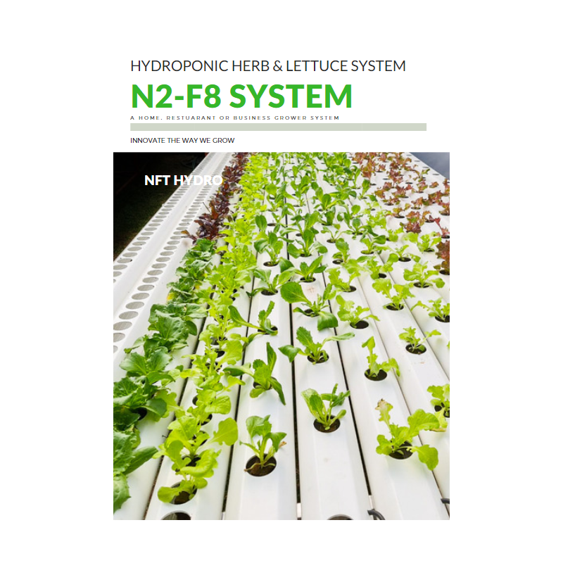 Start your own business! Supply RESTAURANTS! Hydroponic Grower N2 - F8 system