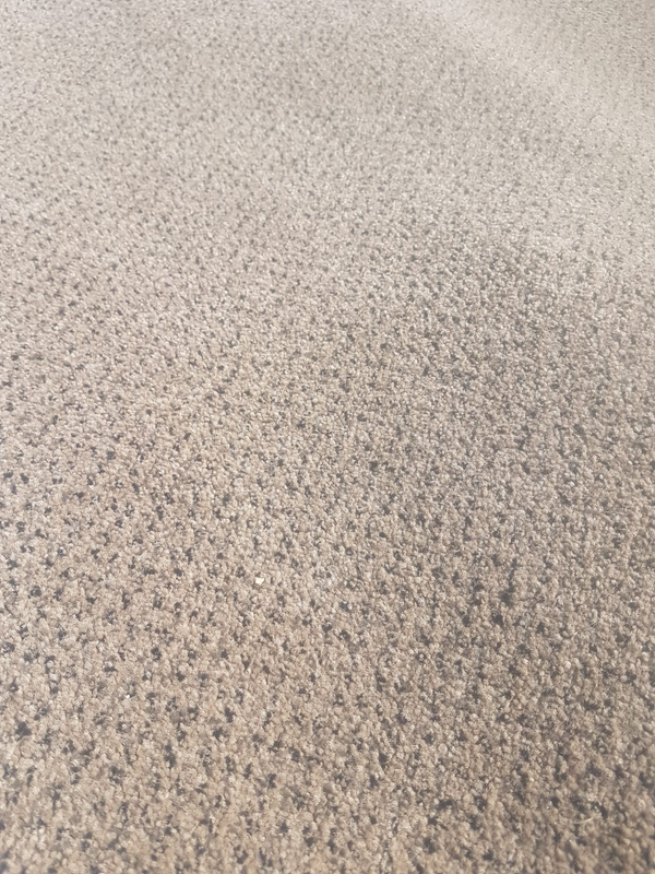 Carpet for sale