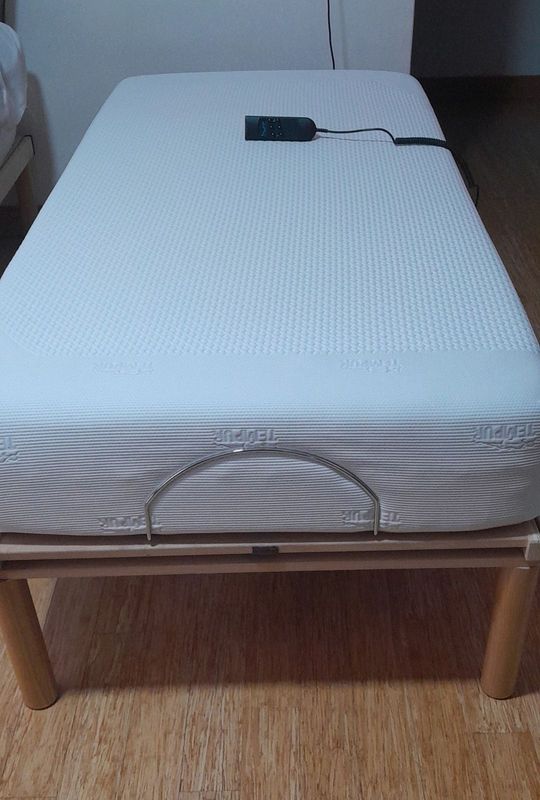 Remote control bed for the sick elderly
