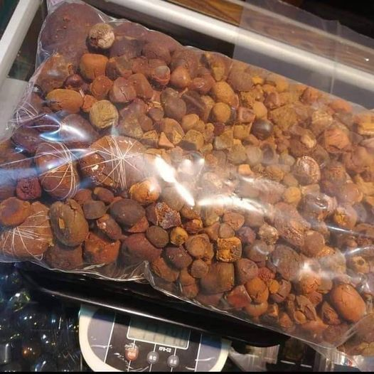 Ox gallstone, we are the leading suppliers of Ox gallstone