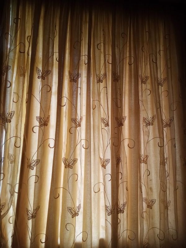 Curtains and Cushions
