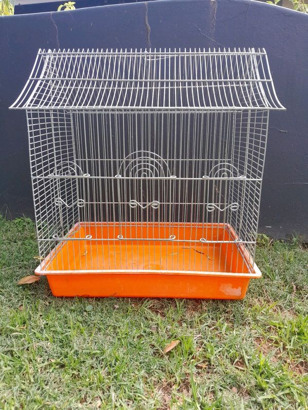 Canary/bird cage