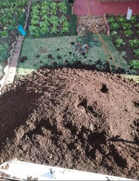 Compost available with affordable prices per ton free delivery