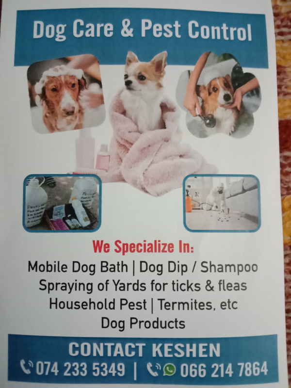Dogcare - Ad posted by Keshenz Naidoo
