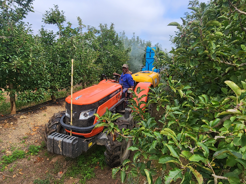 TRACTOR 4WD TAFE