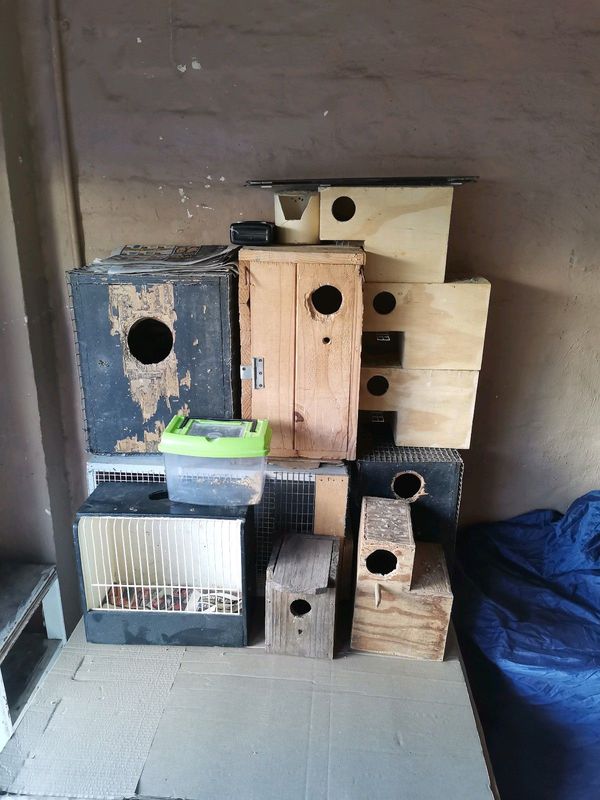 Different Breeding Boxes For Sale