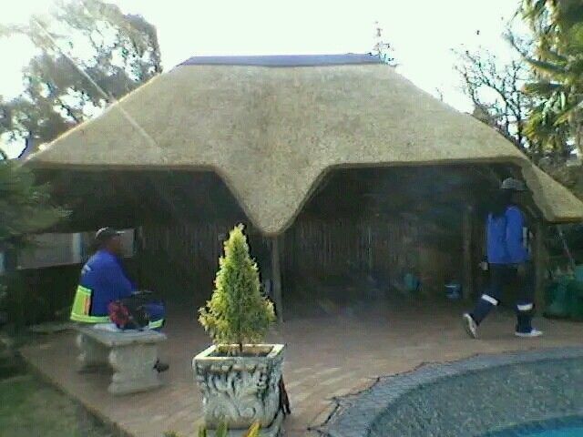 Thatch roof and all repair