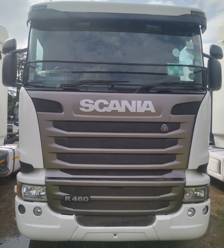 DEPENDABLE SCANIA HORSE