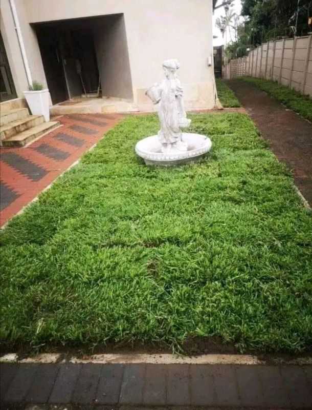 instant lawn