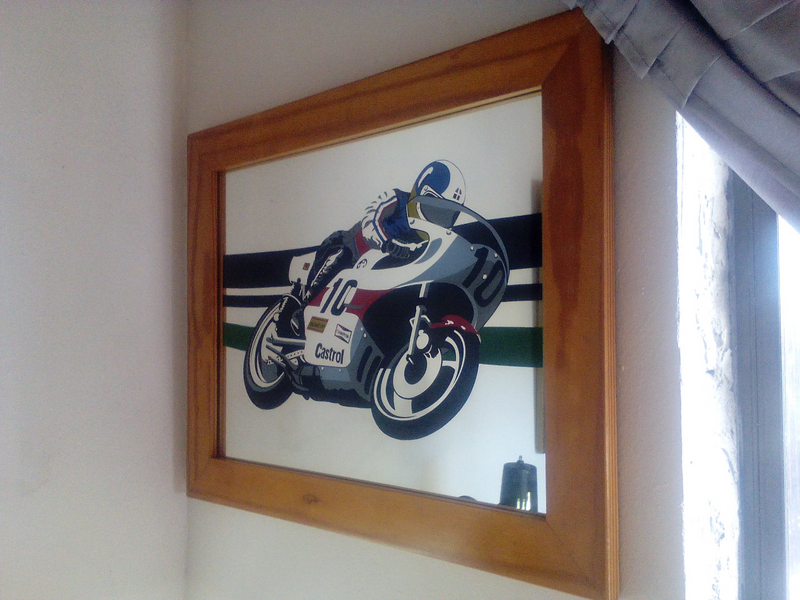 PICTURE/MIRROR of AGOSTINI on the YAMAHA TZ500.