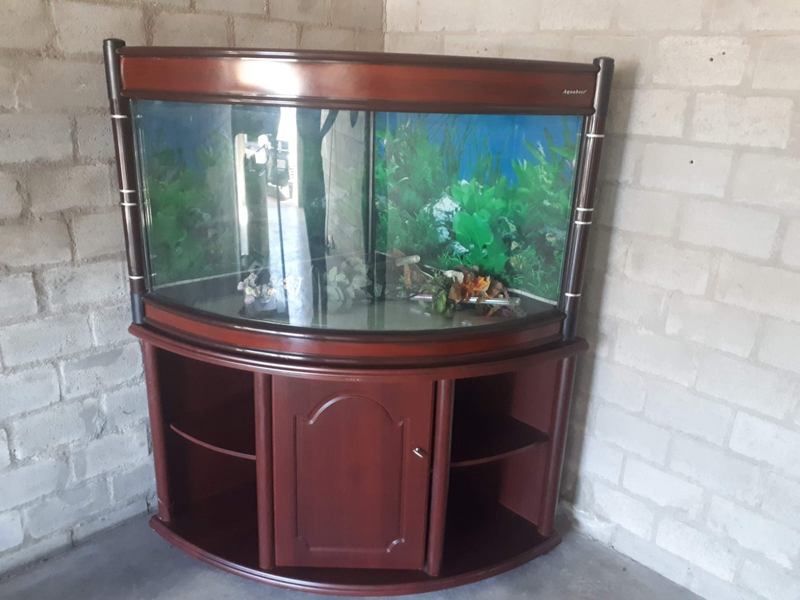 Fish  tank
