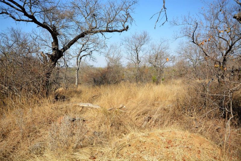 Vacant Land in MODITLO NATURE RESERVE