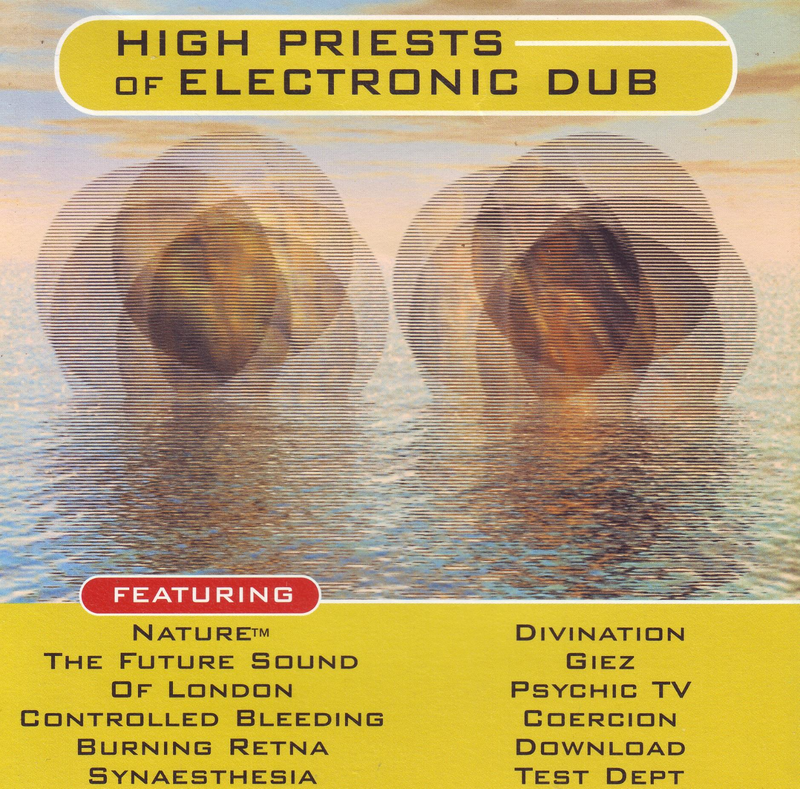 High Priests Of Electronic Dub - Various Artists (CD0
