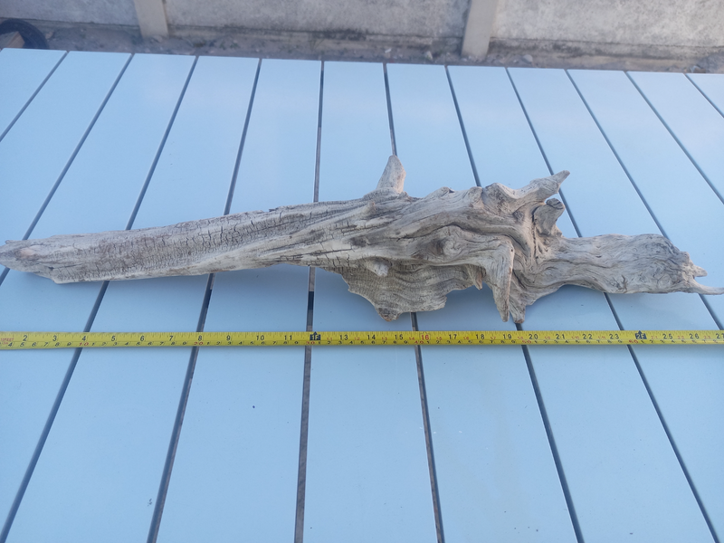 Driftwood for sale