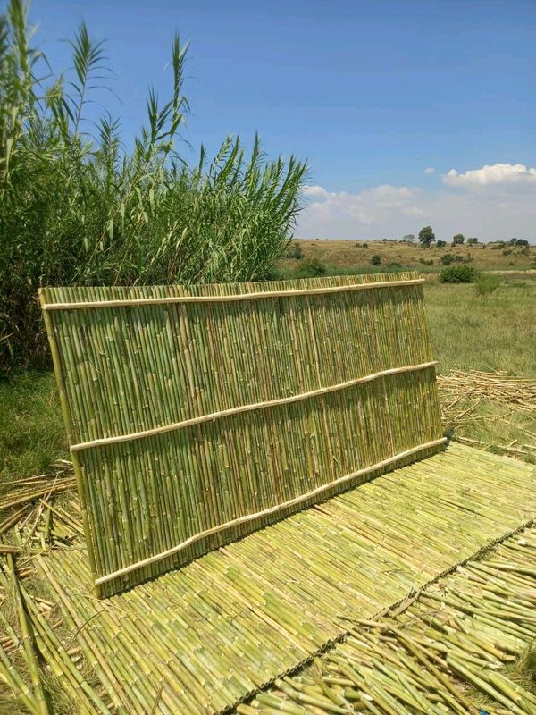 Wood and bamboo screens