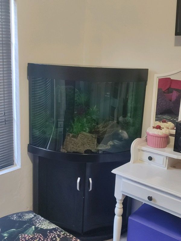 large corner Fish tank for sale