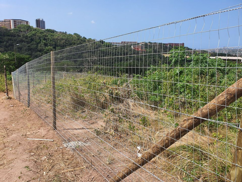 GALVANIZED WELD MESH FENCING - WIRE FENCE - FOR SALE