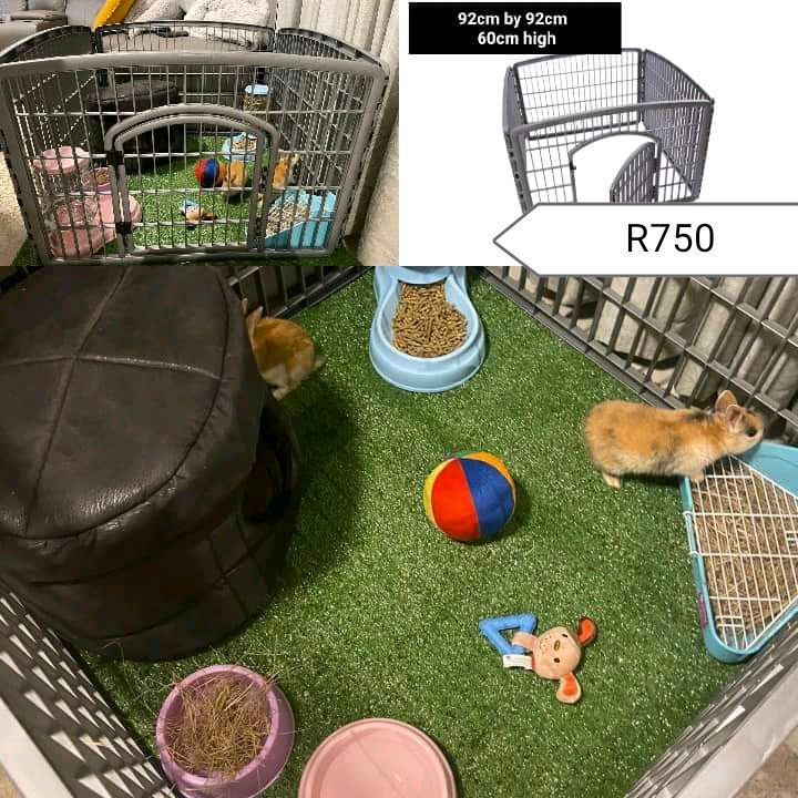 Small pet accessories