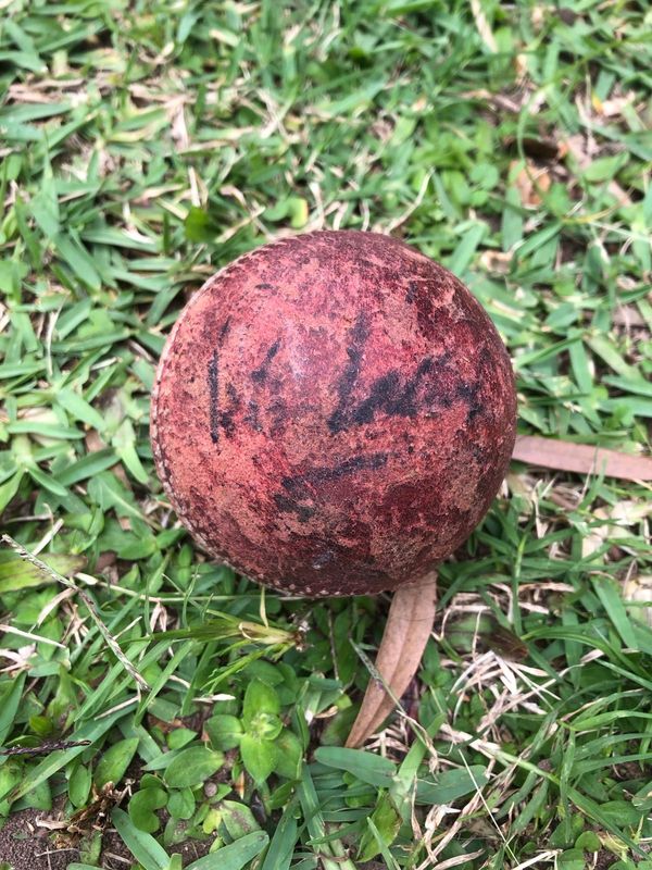 Signed cricket ball