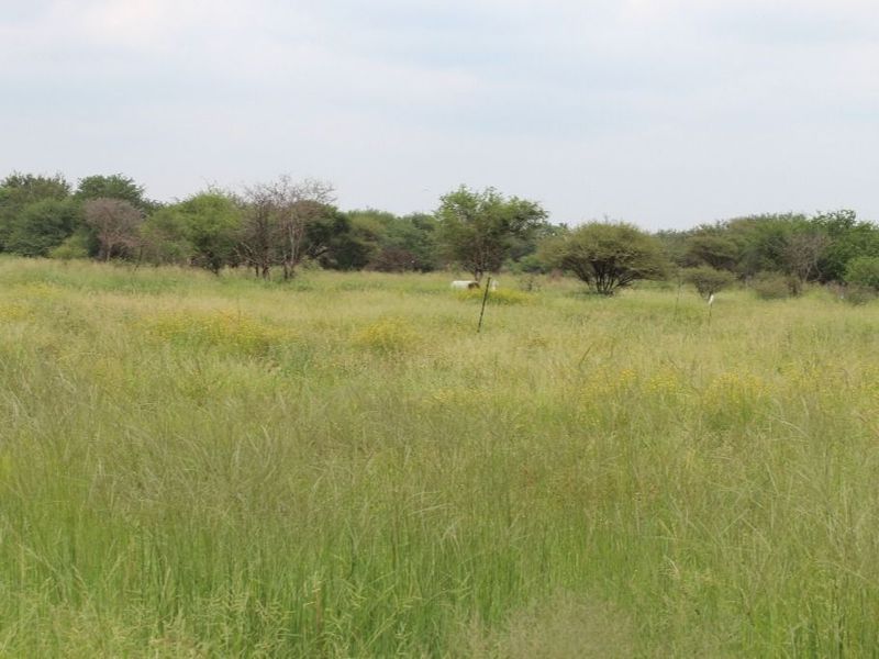 374mÂ² Vacant Land For Sale in Northam