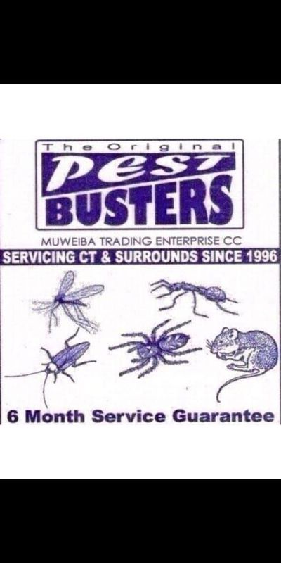 Pest Control Services