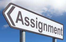 Assignment assistance