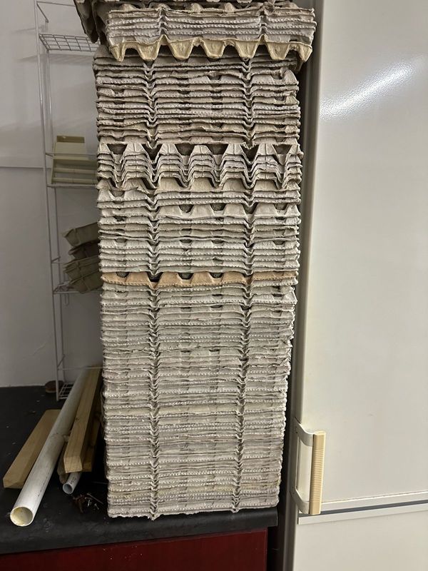 Egg cartons - lots and lots