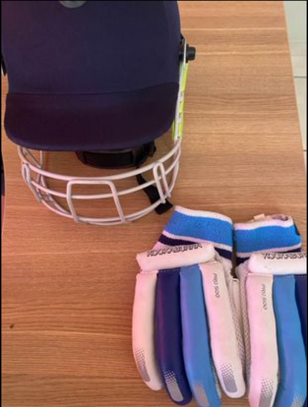 cricket helmet and gloves