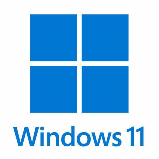 Windows 11 professional and office 2021 professional