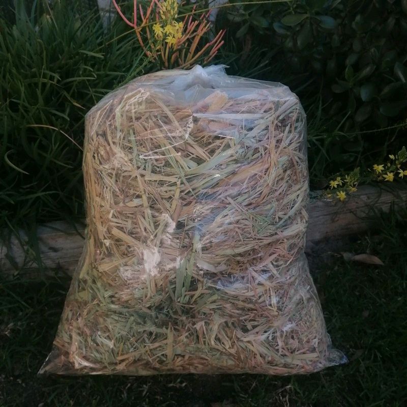 SPECIAL 2x 2kg oathay for R100 - pet bedding/feed - Guinea pigs/rabbits