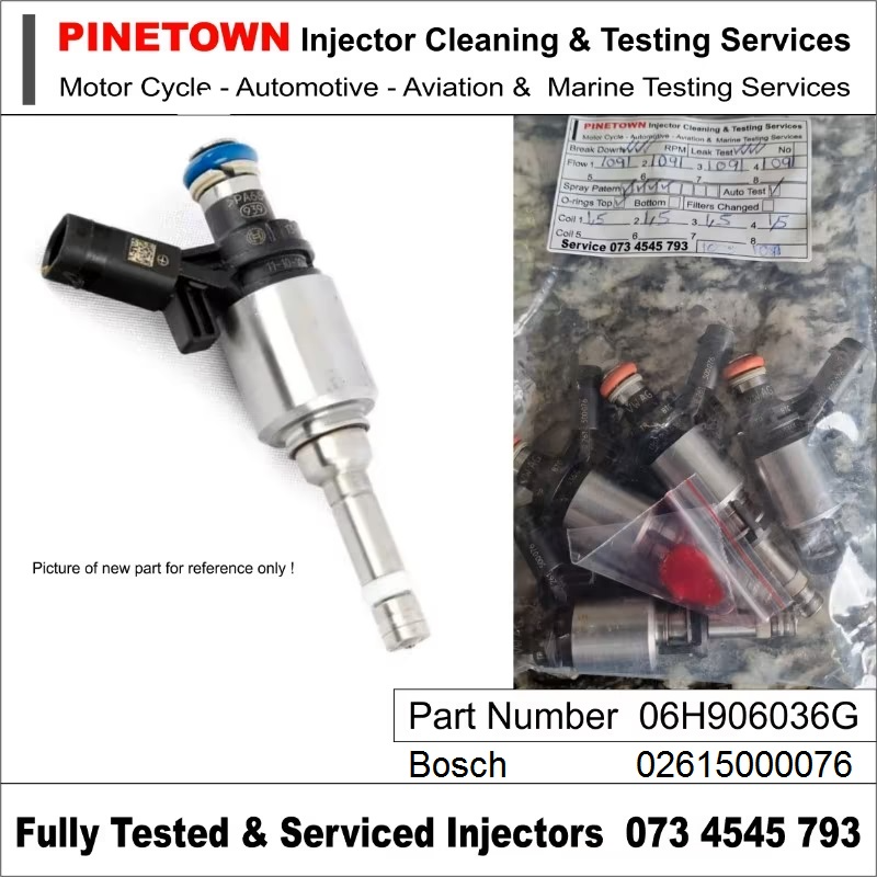 GTI Fuel injectors PN: 06H906036G 0261500076 Alt Number  0261500162