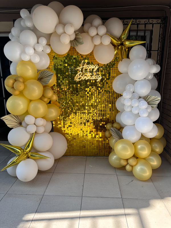 Shimmer Wall Backdrop - April Special : R1300