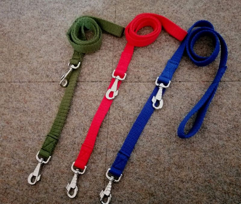 Safety Dog Leads 2 metal Snaphooks