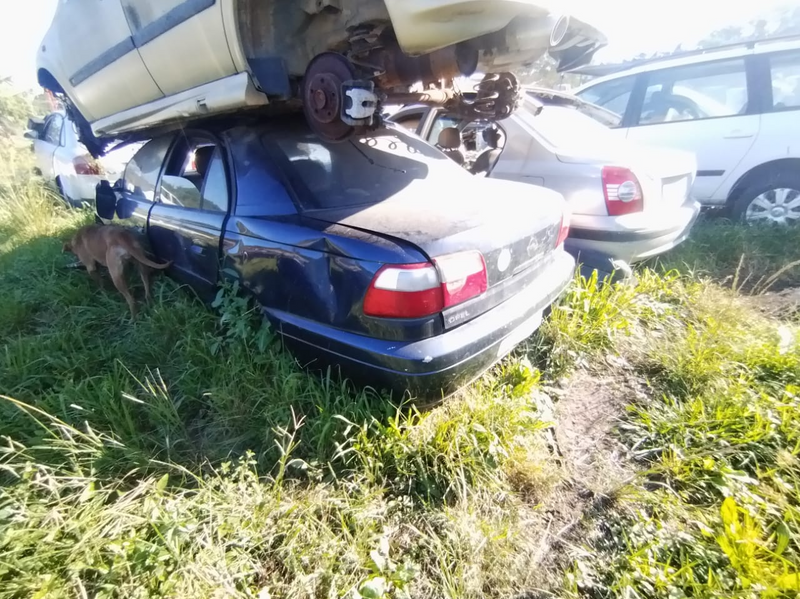 2005 opel omega breaking up for parts